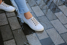 画像をギャラリービューアに読み込む, TDY3961