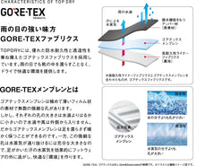 画像をギャラリービューアに読み込む, TDY3907