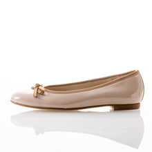 画像をギャラリービューアに読み込む, SCA1010R
