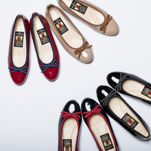 画像をギャラリービューアに読み込む, SCA1010R
